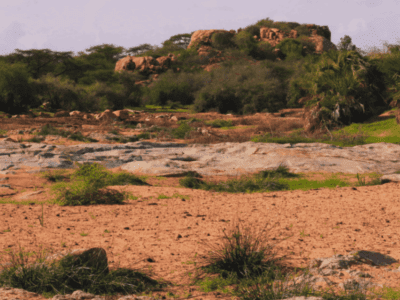 _Kisima Hamsini campsite