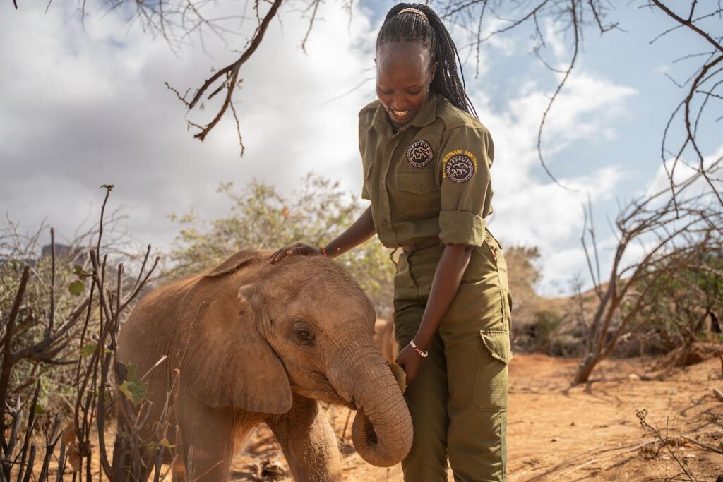 Visit Orphaned Elephants