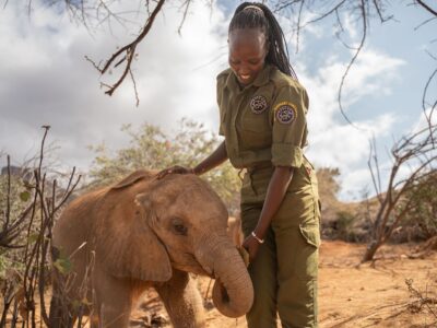 Ngaremara+_+Reteti+Elephant+Sanctuary-14